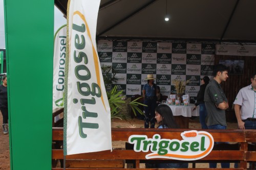 Imagem 26