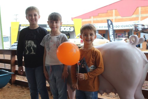 Imagem 8