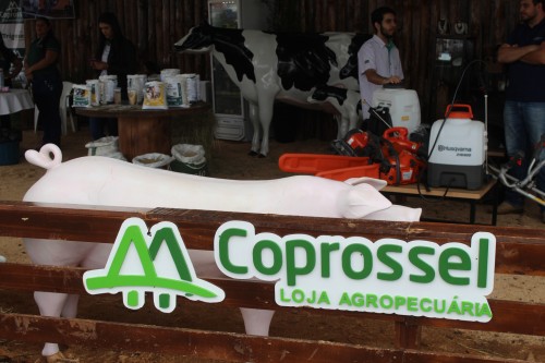 Imagem 23