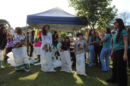 Imagem 8