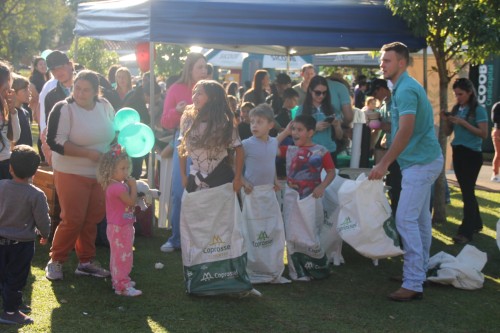 Imagem 29