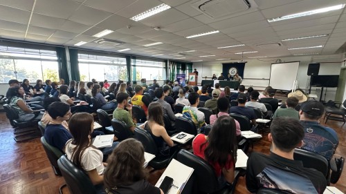 Imagem 9